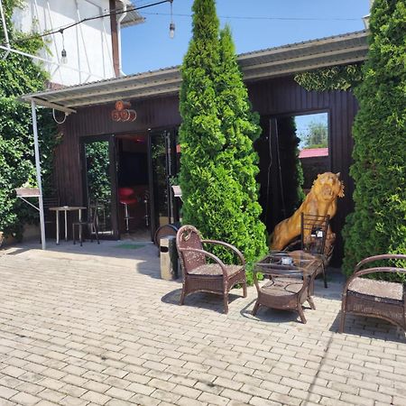 В Гостях На Иссык-Куле Hotel Cholpon-Ata Exterior photo